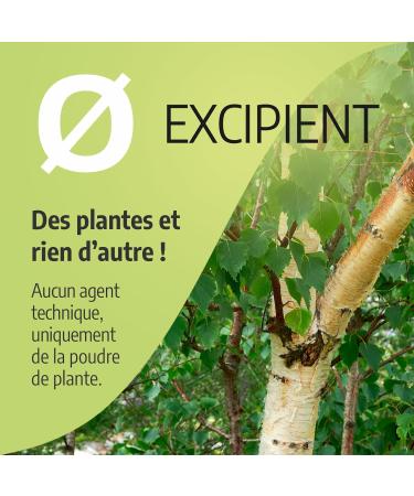 Birch 230 mg - 100 capsules - Orgaliane - Buy Online on GoSupps.com