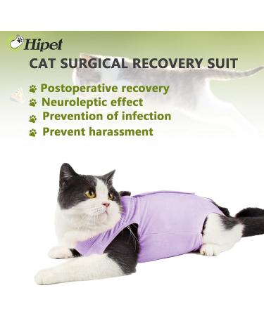 Hipet Cat Surgical Suit for Belly Wounds | Replacement e-Collar & Cone | Anti-Licking Recovery Vest for Cats - Size S Violet - Buy Online on GoSupps.com