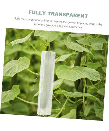 SUPVOX Fruit Shaping Accessories 4 Pcs Fruit and Vegetable Shaping Modeling Nursery Plant Tools - Buy Online on GoSupps.com