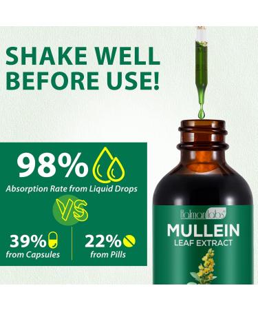 Mullein Drops Mullein Leaf Extract for Lung Cleaning Mullein Leaf Liquid Extract | Healthy Breathing | Premium Mullein Leaf Extract (1PC) - Buy Online on GoSupps.com