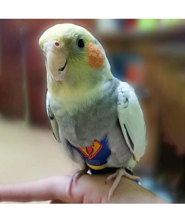 Tytlyworth Parrot Diaper Protective Bird Harness Flight Suit - Waterproof Washable Protective Liner For Parakeet Pet Birds Parrot Cockatoos - Buy Online on GoSupps.com