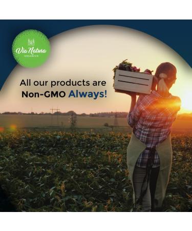 Via Natura Organics Elderberry Capsules 1000mg | Organic Herbal Supplement | 120 Capsules - Buy Online on GoSupps.com