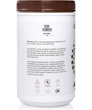 Carefast Stay Planted Chocolate Flavored Plant-Based Non-GMO Soy Protein Powder - 2lb Tub | 13g Protein | Low Carb Vegan Shakes & Smoothies - Buy Online on GoSupps.com