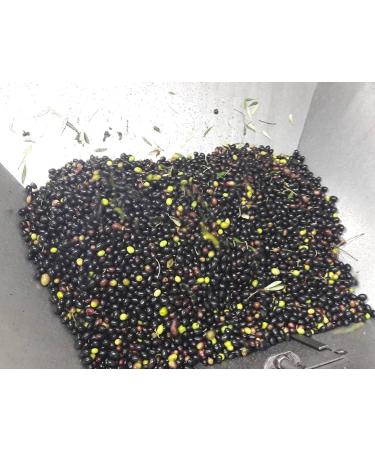 6 bottles of 0.75 liters - Premium quality oil obtained only from the mechanical processing of olives. With anti-fill cap - Buy Online on GoSupps.com