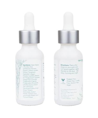 Hyaluronic Acid & Vitamin C Facial Serum - Anti Aging Hydrating Drops for Firm Skin | Vegan Skin Care for Women & Men - 1 Fl Oz - Buy Online on GoSupps.com