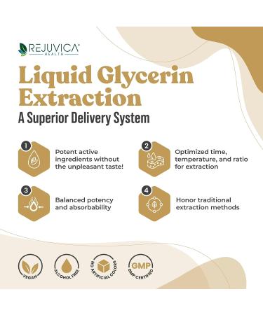 Rejuvica Health Active Maca - Liquid Extract of Peruvian Ginseng for Energy & Vitality - Buy Online on GoSupps.com