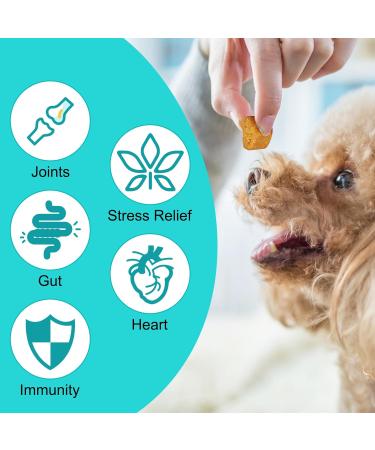 HRAMEX Calming Chews for Dogs(Peking Duck 60PCS) 100% Natural Ingredients Dogs Calming Treats Helps Dog Anxiety & Stress Relief Separation and Barking for All Breeds & Sizes 4.7oz(132g) - Buy Online on GoSupps.com