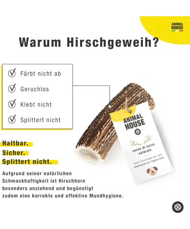 Animal House Shared Deer Antler for Dogs | 100% Natural Causnack | Durable Resistant Mouth Hygiene | Available in All Sizes (XL) - 1 Piece Pack - Buy Online on GoSupps.com