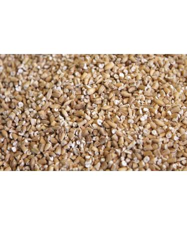 Organic Steel Cut Oat Groats - 3 Lb Tub | Premium Quality Whole Grain - Buy Online on GoSupps.com