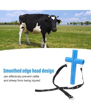 Buy Demeras Veterinary Mouth Opening Tool | Blue Cross Cattle Medicine Feed Opener | Durable Stainless Steel Hook for Animal Husbandry (L) - International Shipping Available - Buy Online on GoSupps.com