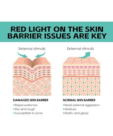 JUNHONGLI Facial Moisturizer Elephant Polypeptide Cream Facial Care Moisturizer For Women Combination - Buy Online on GoSupps.com