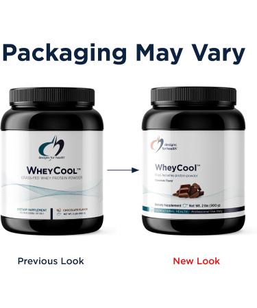 Designs for Health WheyCool - Grass Fed Whey Protein Powder Supplement with 20g Protein May Support Athletes Muscles + Energy - Non-GMO + Gluten-Free Chocolate (30 Servings / 900g) Chocolate 2 Pound (Pack of 1) - Buy Online on GoSupps.com