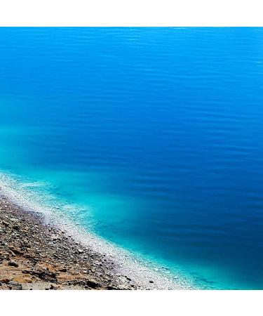 RIVAGE Natural Dead Sea Minerals Bath Salt 250g - Revitalize & Energize Vegan Friendly No Harsh Chemicals International Shipping - Buy Online on GoSupps.com