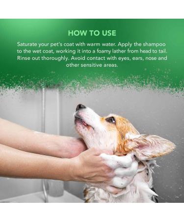 Buy WAHL Tea Tree Pet Shampoo 5037127004975 - Gentle Hydrating & International Shipping Available - Buy Online on GoSupps.com