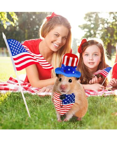 CooShou 4th of July Pet Costume Set - Uncle Sam Rabbit & American Flag Hat, Bandana for Guinea Pig, Rabbit, and Small Animals (L) - Buy Online on GoSupps.com