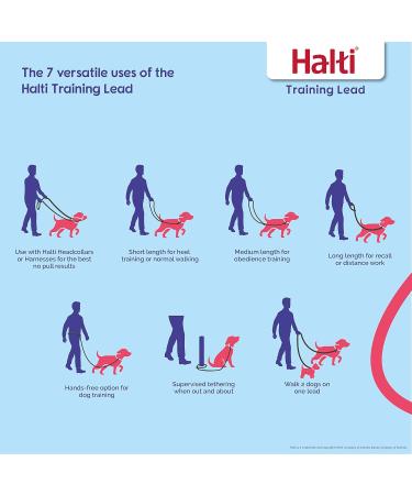Halti Head Neck Band & Training Leash Combi Pack - Stop Dog Pulling on Walks - Size 5 Black Head Collar & Double Leash - Buy Online on GoSupps.com