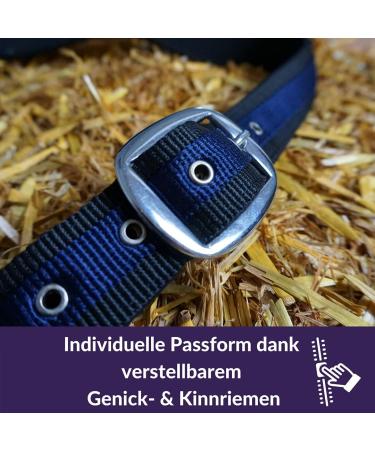 Buy Halfer XXFull Cold Blood Horse Halter - Adjustable 2 Compartment Halters in Black & Blue for Stable Use - Buy Online on GoSupps.com