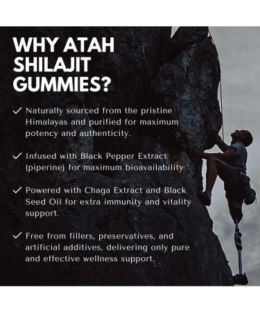 ATAH VEDIC SECRETS Himalayan Shilajit Gummies for Men & Women - Shilajit Gummy Supplement with Black Seed Oil and Chaga Extract | Organic Non-GMO Micronutrient Supplement 100% Natural | 60 Gummies - Buy Online on GoSupps.com