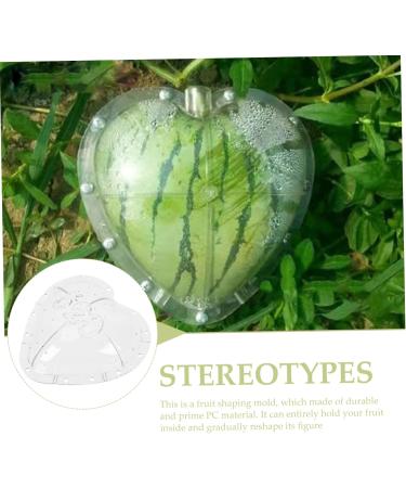 Gadpiparty Plant Vegetables Fruit for Outdoor Vegetable Pumpkin Watermelon - Buy Online on GoSupps.com