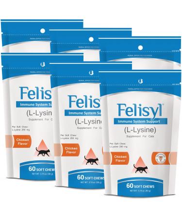 Pet Health Solutions L-Lysine Soft Chews for Cats (60 Soft Chews) Supports Immune Respiratory and Eye Health. Eases Sneezing Runny Nose and Watery Eyes. Salmon Flavor - (6 Pack)