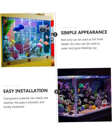 POPETPOP 1pc Red Worm Feeder Glass Terrarium Terrariums Fish Tank Dish Tray Fish Food Feeder Crawl Lipstick 6X4.5CM White - Buy Online on GoSupps.com
