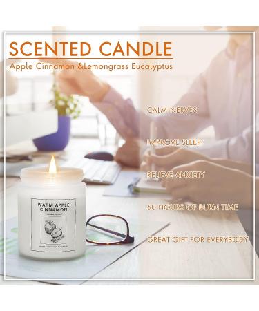 Apple Cinnamon & Lemongrass Eucalyptus Scented Candles 2 Pack - 15 oz Soy Candle Set for Mother's Day, Valentine, Christmas Gifts - Buy Online on GoSupps.com