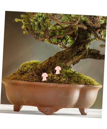 SUPVOX 2pcs Crystal Mushroom Mini Crystals Gemstone Mushrooms Stone Adornments for Micro Landscape Cake - Buy Online on GoSupps.com