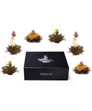 Creano Blooming Tea Flower Mix - 6 Premium Black Tea Blooms in Magnetic Box | International Shipping - Buy Online on GoSupps.com