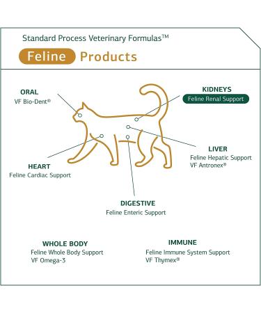 Standard Process Feline Renal Support - Kidney & Urinary Health for Cats - 90 Tablets - Buy Online on GoSupps.com