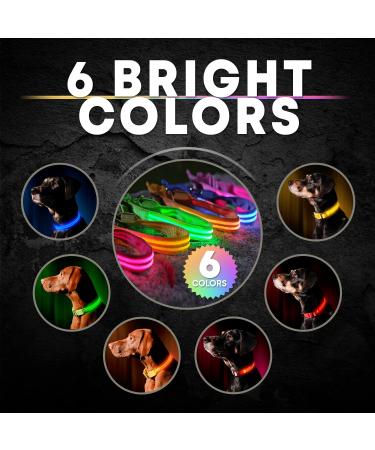Illumiseen LED Dog Collar USB Rechargeable - Neon Green Large (L) 19-24 - High Visibility Light for Night Walking - Buy Online on GoSupps.com