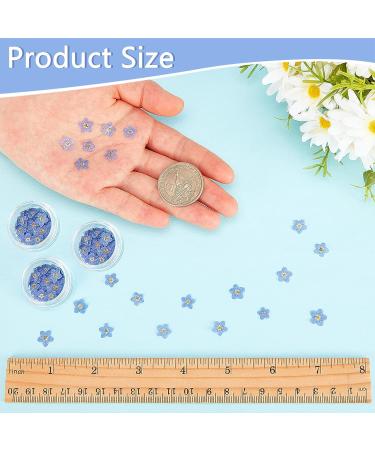 100 Pcs Natural Forget-Me-Not Dried Flowers for DIY Jewelry, Candle, Card Making - Real Pressed Flowers for Resin Ornaments & Nail Art Decorations - Buy Online on GoSupps.com