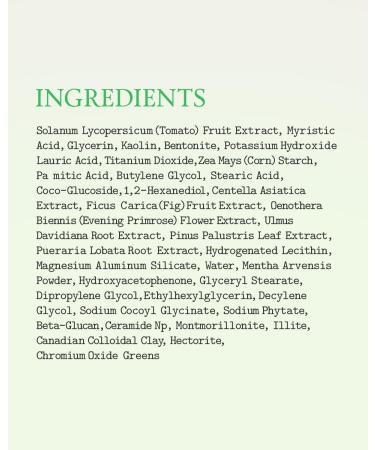 FULLY Green Tomato Pore Detox Clay Mask Cleanser Pore Minimizing Blackhead Care Sebum Control Exfoliation Vegan Face Wash Sensitive Skin Korean Skincare 4.05 fl.oz - Buy Online on GoSupps.com