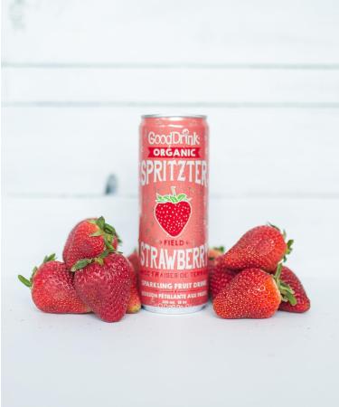 GoodDrink Organic Fruit Soda Field Strawberry - 355ml (Pack of 12) - Buy Online on GoSupps.com