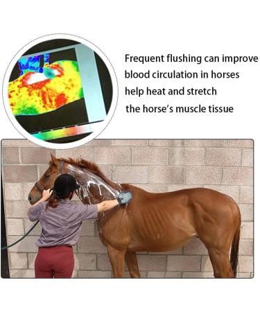 DHinkyoung Horse Massage Glove Horse Grooming Brush Multifunctional Horse Brush Glove Breathable Horse Hair Remover Mitt for Horse Dog and Cat Washing Grooming Shedding - Buy Online on GoSupps.com