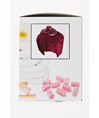 EFBE-Schott LT 52 Hair Dry Hood - Professional Quality Hair Dryer for Stylish Results | International Shipping Available - Buy Online on GoSupps.com