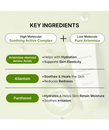 BRING GREEN Artemisia Calming EX Water Cream 100mL - Buy Online on GoSupps.com