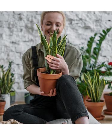 NOLITOY 24 Pairs Silicone Finger Protector - Reusable Anti-Cutting Finger Covers for Ultimate Protection - Durable Finger Sleeves & Accessories for Safe Handling - Buy Online on GoSupps.com