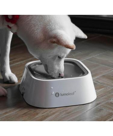 Lumoleaf Dog & Cat Water Bowl - Anti-Spill Slow Feed Gray Double Floating Plate - Buy Online on GoSupps.com