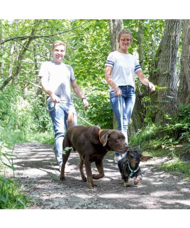 Buy Trixie Dog Leash Cavo V-Line S-M 2.00m 12mm - Adjustable Outdoor Leash for Small to Medium Dogs in Forest Green/Apple - International Shipping Available - Buy Online on GoSupps.com