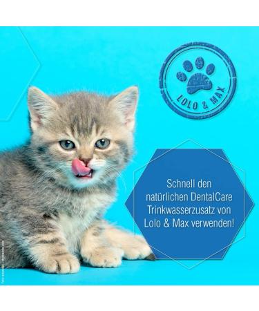 Lolo & Max Natural Dental Care for Dogs & Cats | Vegan Drinking Water Additive for Fresh Breath Tartar Control & Dental Hygiene - Buy Online on GoSupps.com