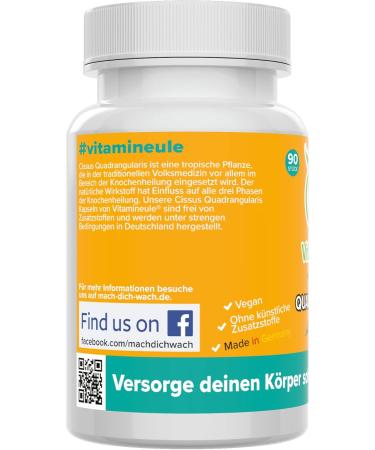 Cissus Quadrangularis Capsules - High Dose 400mg Blatt Extract (12:1) - 4800mg Leaf Powder - Vegan - Additive-Free - Quality from Germany - Lab Tested - Vitamine LL  - Buy Online on GoSupps.com