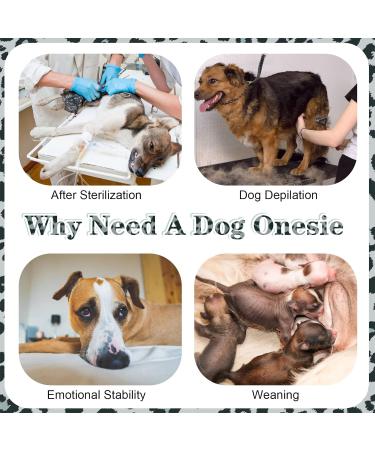 Kuoser Dog Body After Surgery E-Collar Alternative for Male & Female Pets | Breathable & Anti-Licking Design - Buy Online on GoSupps.com