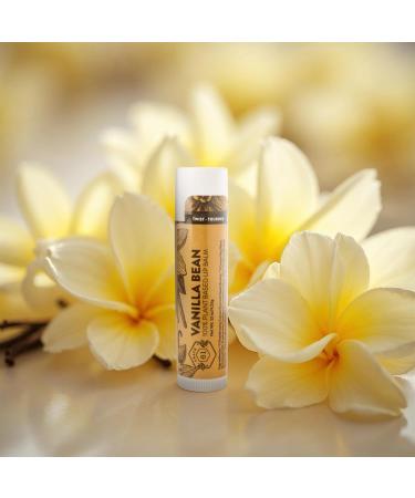 Crate 61 Lip Balm - Vanilla Bean Plastic-Free Plant Pod Tube Made with USDA Organic Ingredients & Fair Trade Vanilla Natural Moisturizing Lip Care for Dry Lips Safe for Men Women & Kids Vanilla Bean 1 Count (Pack  - Buy Online on GoSupps.com