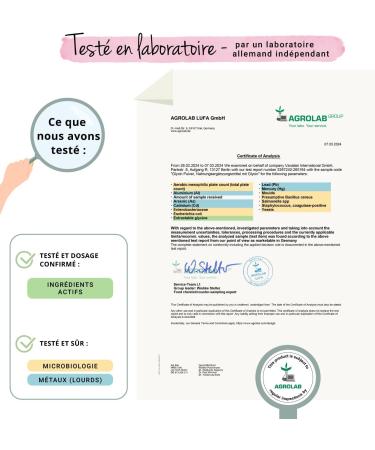 Glycine Powder Vegavero | 1000g (1kg) | 100% Pure No Additives and Vegan | Laboratory Analyzed | Collagen Synthesis & Sleep Aid | With Measuring Spoon - Buy Online on GoSupps.com