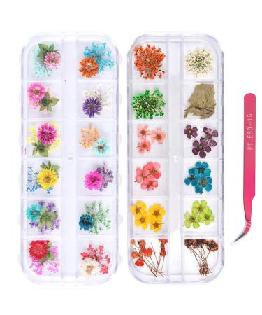 2 Boxes Nail Art Dried Flowers UNIME 24 Colors Dry Flowers Mini Real Natural Flowers Nail Art Supplies 3D Applique Nail Decoration Sticker for Tips Manicure Decor Accessories Gypsophila Flowers Leaves