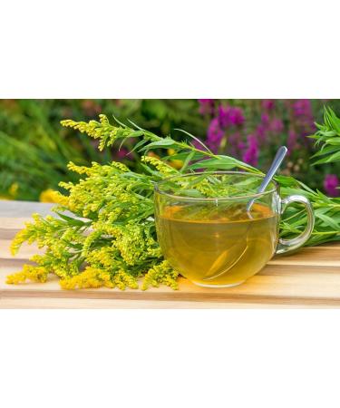Goldenrod Herb Tea | Solidago Virgaurea L | Solidage Verge D'OR Herbe Tisane | Health Embassy (100g) - Buy Online on GoSupps.com