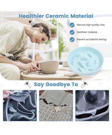 IDOGCHEW Ceramic Cat Slow Feeder Bowl - Anti-Gulping Puzzle Feeder for Healthy Eating - Non-Slip, Spill Proof - Green - Buy Online on GoSupps.com