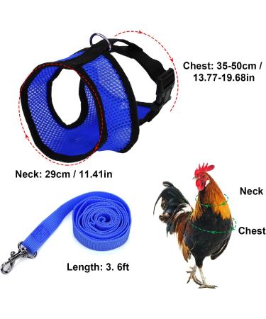 Molain Adjustable Chicken Harness & Leash - Comfortable Vest for Ducks & Hens (2-11 lbs) - Breathable Mesh Training Gear (Blue) - Buy Online on GoSupps.com