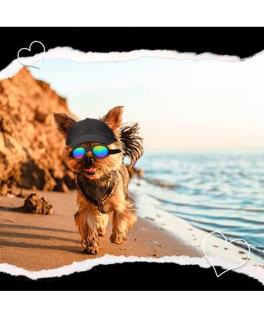 Adjustable Small Black Dog Hat with Chin Strap | Puppy Sun Hat for Spring and Summer | Pet Baseball Cap for Small Dogs - Buy Online on GoSupps.com