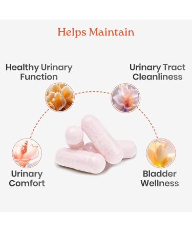 NewLife Naturals D-Mannose Capsules | w/Cranberry and Hibiscus Extracts | Natural Urinary Tract Health Supplement | 1400mg Pure Veggie Powder | 120 Veggie Capsules 120 Count (Pack of 1) - Buy Online on GoSupps.com